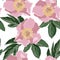 Floral pattern Flower peony rose ornamental background Flourish texture.