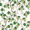 Floral pattern with grape branch. Wineyard seamless wallpaper. G