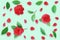 Floral pattern made of red Camellias and green leaves, branche