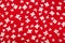 Floral pattern. Red and white flowers print as background.