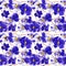 Floral pattern texture background with blue pansy flowers