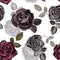 Floral pattern in vintage style. Watercolor red, burgundy, black roses and foliage on white background. Retro print