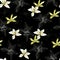 Floral pattern of white flowers on a dark background. Seamless vector illustration of vanilla, orchid for fabric, tile, paper