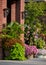 Floral planters with palm, coleus, sweet potato vine, canna lily, mandevilla, and petunia.