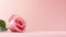 floral rose pink background