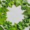 Floral round frame of fresh greens and leaves on gray background. Top view, copy space, flower flatlay. Place for text or beauty