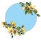 Floral round frame spring branches with blooming yellow jasmine flowers. Composition with place for text.