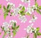 Floral seamless pattern