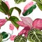 Floral seamless pattern, Alocasia plant, palm leaves and red tropical plants on white background.