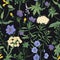 Floral seamless pattern with blooming wild flowers and meadow flowering plants on black background. Romantic floral