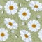 Floral seamless pattern - daisy