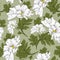 Floral seamless pattern - daisy