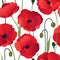 Floral seamless pattern. Flower poppy background.