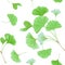 Floral seamless pattern with japanese gingko biloba leaves, vintage pastel green texture, fabric print, wallpaper
