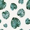 Floral seamless pattern monstera Philodendron