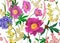 Floral seamless pattern. Peonies, hydrangeas, eucalyptus branches, foliage and herbs on white background