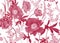 Floral seamless pattern. Peonies, hydrangeas, eucalyptus, foliage and herbs. Red and white