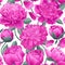 Floral seamless pattern with pink peonies. Spring flowers background for prints, fabric, invitation cards, wedding decoration