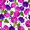 Floral seamless pattern with pink and purple flowers bindweed