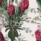 Floral Seamless pattern. Protea Sugarbushes flowers, exotic palm leaf and herbs.