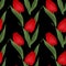 Floral seamless pattern red tulips illustration black background