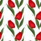 Floral seamless pattern red tulips illustration white background