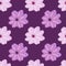 Floral seamless pattern with scandinavian pink and purple marguerite flowers. Purple background