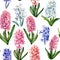 Floral seamless pattern of spring flowers on an isolated background, watercolor hyacinths.