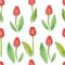 Floral seamless pattern Tulips (red flowers with green leafs).
