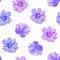 Floral seamless pattern. Voilet purple flowers. Isolated on white background. Hand drawn illustration. Texture for print