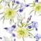 Floral seamless pattern with watercolor iris, daylily