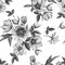 Floral seamless pattern with watercolor narcissus and hellebore. Monochrome