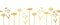 Floral seamless vector border metallic gold foil effect. Horizontal flower banner wild grass flowers elegant golden on white. Use