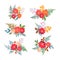 Floral set. Collection with red orange beautiful flowers. Hand d