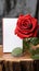 Floral simplicity Red rose with white paper on rustic tabletop