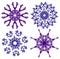Floral snowflakes,