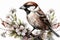 Floral Sparrow Sublimation Clipart isolate on white background.