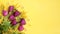 Floral spring arrangement on a yellow background. Banner. Lilac tulips and mimiza branches. Layout, copy space