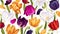 Floral spring background with vector multicolored tulips.