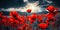 Floral Tribute Red Poppies in Field Symbolic Background for Remembrance or Armistice Day