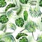 Floral tropical seamless pattern background with exotic flowers, jungle leaves, monstera leaf paradise flower bac