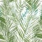 Floral tropical vector pattern with green palm plants and leafs