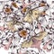 Floral vector background with butterflies and flowers filigree d