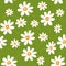 Floral vector seamless pattern. Daisy field