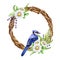 Floral vine wreath with garden flower and blue jay bird. Watercolor illustration. Hand drawn vintage style decor element