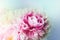 Floral wallpaper, background from flower petals. Trend colors pink and blue. Beauty peony, peonies, roses flowers. Bloom