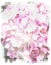 Floral watercolor hydrangea