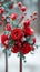 Floral winter wonder Red roses create a captivating wedding decor