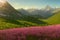 A Floral Wonderland: Spring Blooming in the Valley with Generative AI