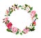 Floral wreath with apple, cherry flowers, sakura blossom, roses flowers and feathers. Watercolor round border